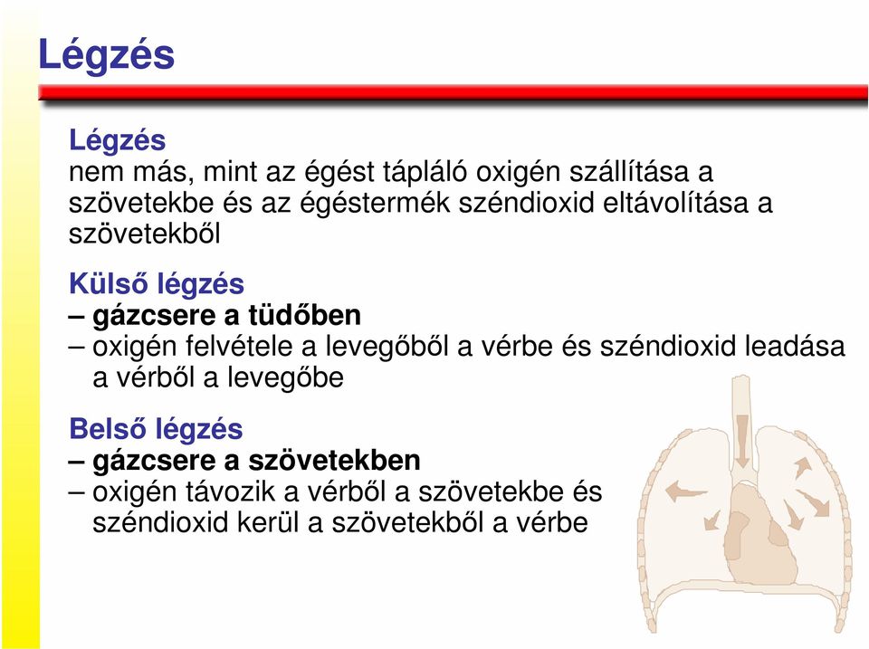 felvétele a levegıbıl a vérbe és széndioxid leadása a vérbıl a levegıbe Belsı légzés