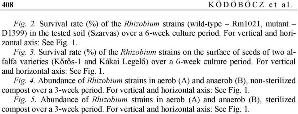 Survival rate (%) of the Rhizobium strains on the surface of seeds of two alfalfa varieties (Kőrős-1 and Kákai Legelő) over a 6-week culture period.
