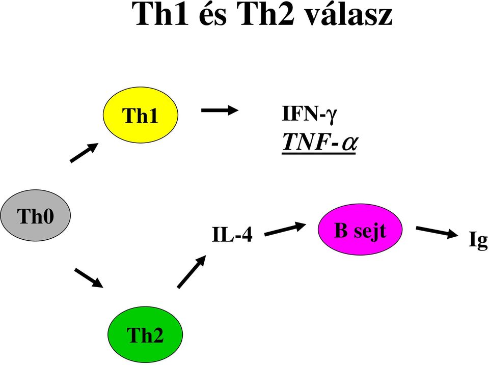 IFN-γ TNF-α