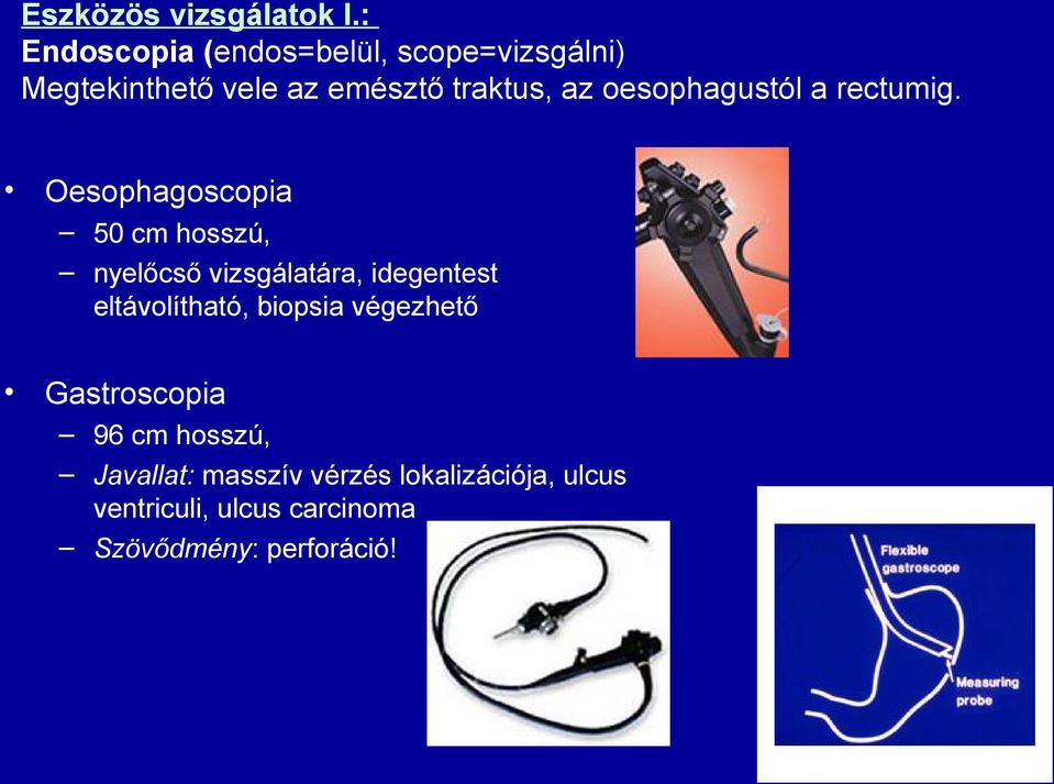 oesophagustól a rectumig.