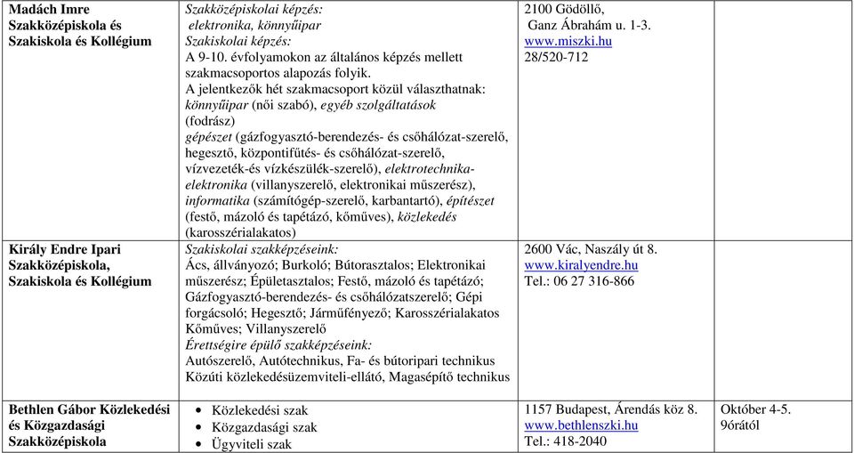 vízvezeték-és vízkészülék-szerelő), elektrotechnikaelektronika (villanyszerelő, elektronikai műszerész), informatika (számítógép-szerelő, karbantartó), építészet (festő, mázoló és tapétázó, kőműves),