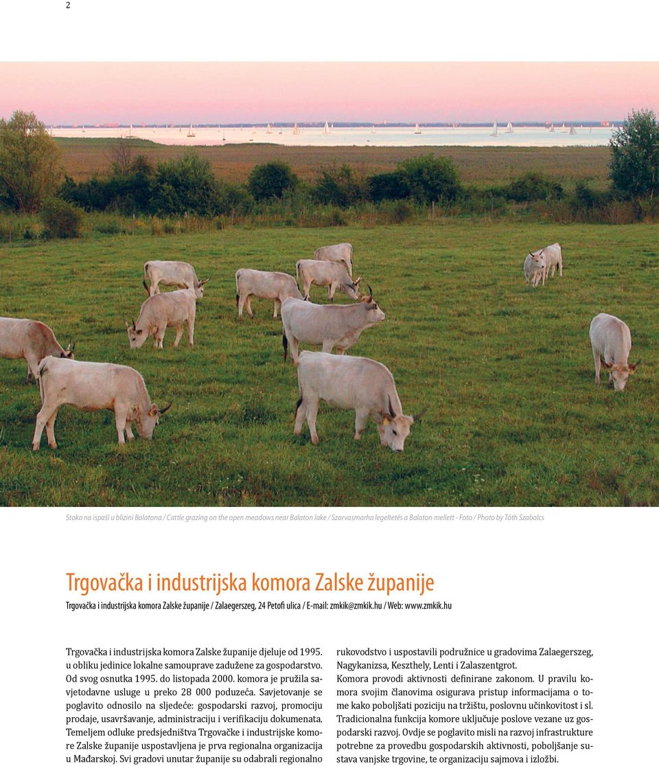 u obliku jedinice lokalne samouprave zadužene za gospodarstvo. Od svog osnutka 1995. do listopada 2000. komora je pružila savjetodavne usluge u preko 28 000 poduzeća.