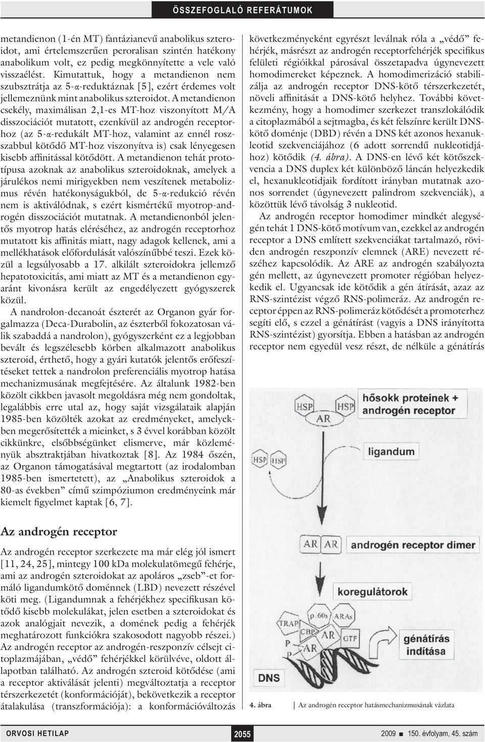 A metandienon csekély, maximálisan 2,1-es MT-hoz viszonyított M/A disszociációt mutatott, ezenkívül az androgén receptorhoz (az 5-α-redukált MT-hoz, valamint az ennél roszszabbul kötődő MT-hoz