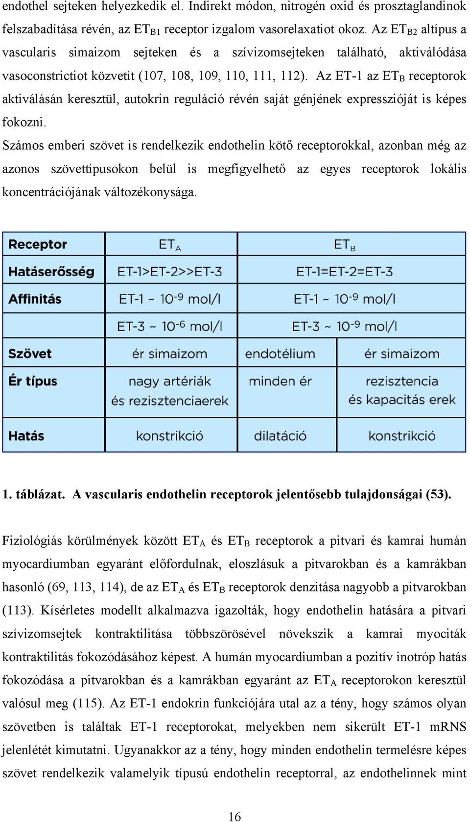 Az ET-1 az ET B receptorok aktiválásán keresztül, autokrin reguláció révén saját génjének expresszióját is képes fokozni.