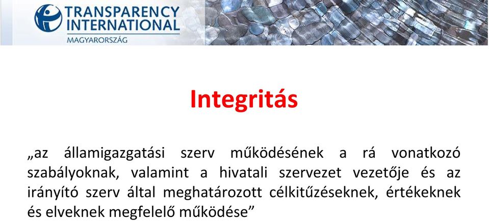 vezetője és az irányító szerv által meghatározott