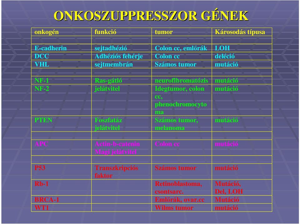 phenochromocyto ma PTEN Foszfatáz jelátvitel Számos tumor, melanoma mutáció APC Actin-b-catenin Magi jelátvitel Colon cc mutáció P53