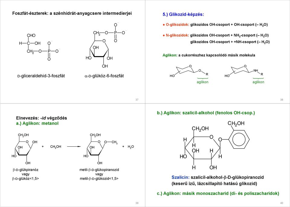 glikozidos -csoport + =N-csoport ( ) Aglikon: a cukorrészhez kapcsolódó másik molekula N R R aglikon aglikon 37 38 Elnevezés: -id végzıdés a.