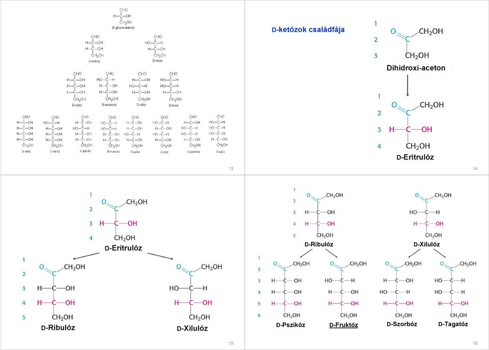 D-Eritrulóz D-Ribulóz D-Xilulóz