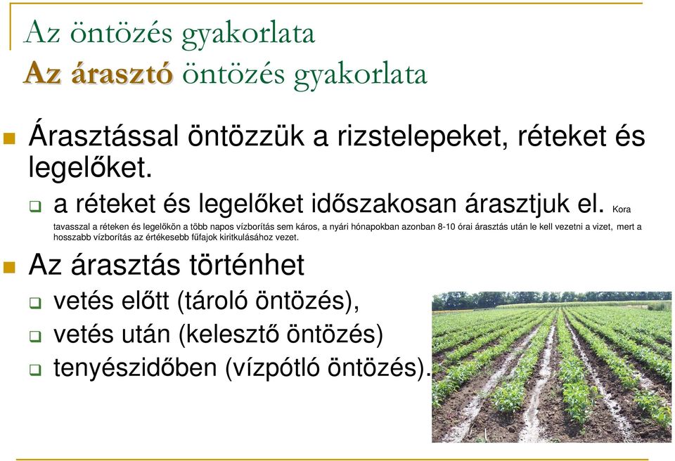 Kora tavasszal a réteken és legelıkön a több napos vízborítás sem káros, a nyári hónapokban azonban 8-10 órai árasztás után