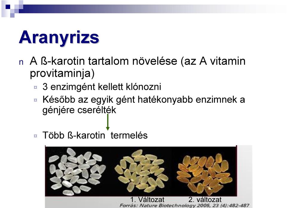 Később az egyik gént hatékonyabb enzimnek a génjére