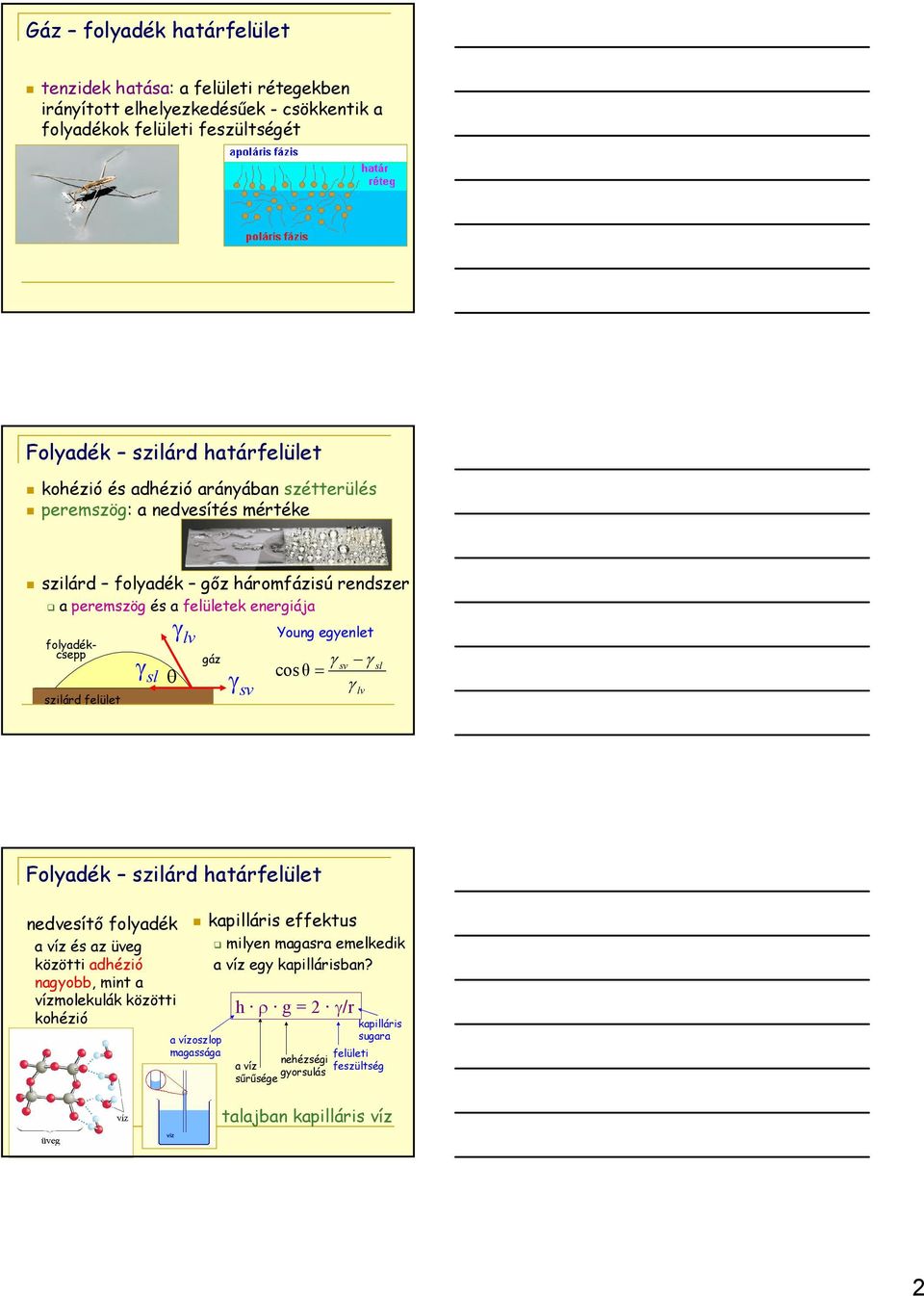 θ γ sv Young egyenlet γsv γsl cos θ = γ lv Folyadék szilárd határfelület nedvesítı folyadék a víz és az üveg közötti adhézió nagyobb, mint a vízmolekulák közötti kohézió kapilláris
