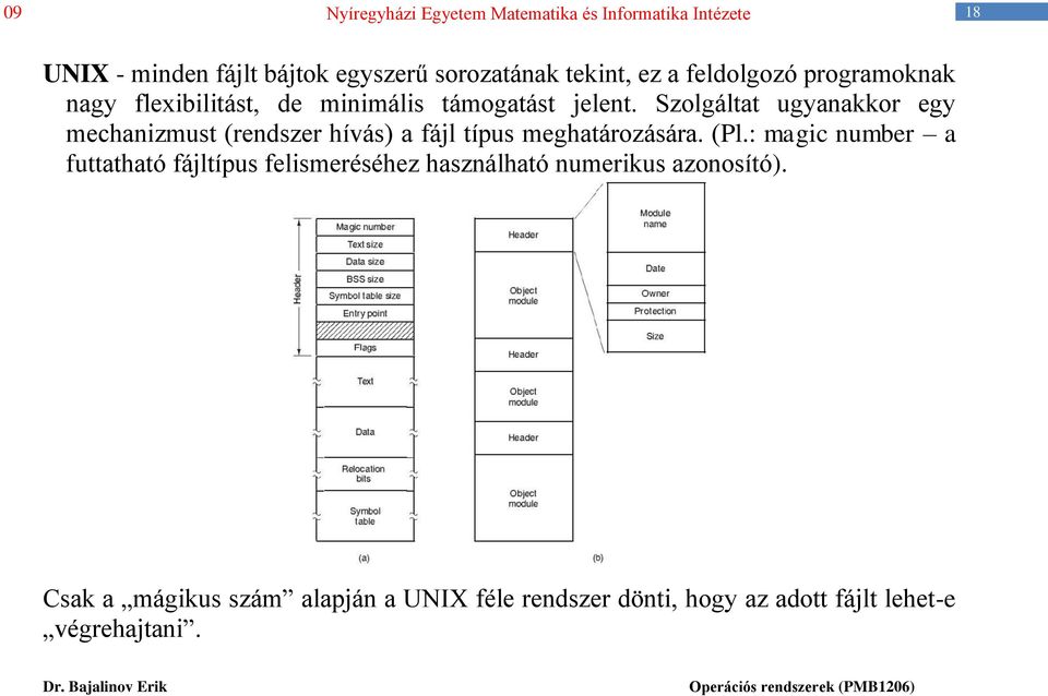 Szolgáltat ugyanakkor egy mechanizmust (rendszer hívás) a fájl típus meghatározására. (Pl.