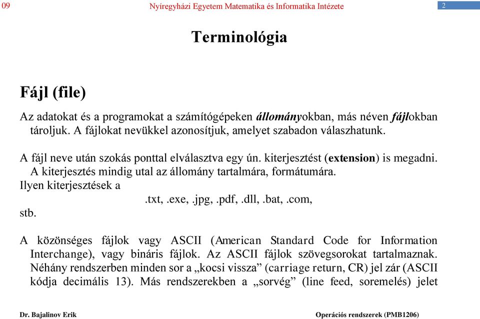 A kiterjesztés mindig utal az állomány tartalmára, formátumára. Ilyen kiterjesztések a.txt,.exe,.jpg,.pdf,.dll,.bat,.com, stb.