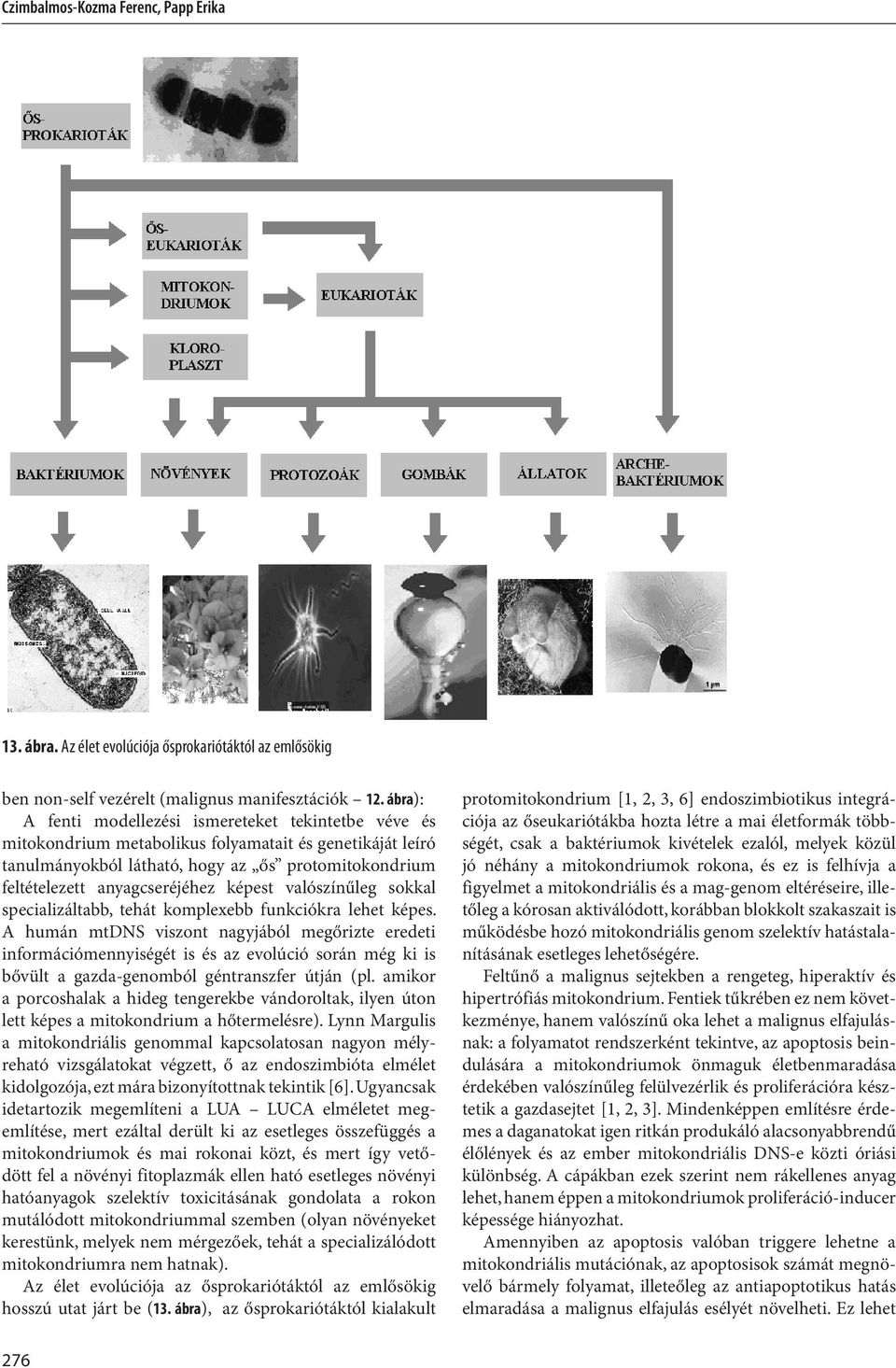 képest valószínűleg sokkal specializáltabb, tehát komplexebb funkciókra lehet képes.