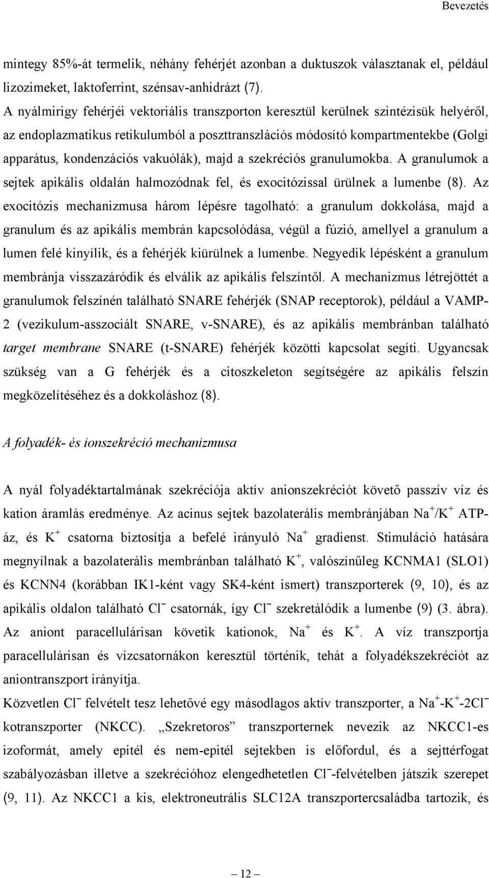 vakuólák), majd a szekréciós granulumokba. A granulumok a sejtek apikális oldalán halmozódnak fel, és exocitózissal ürülnek a lumenbe (8).