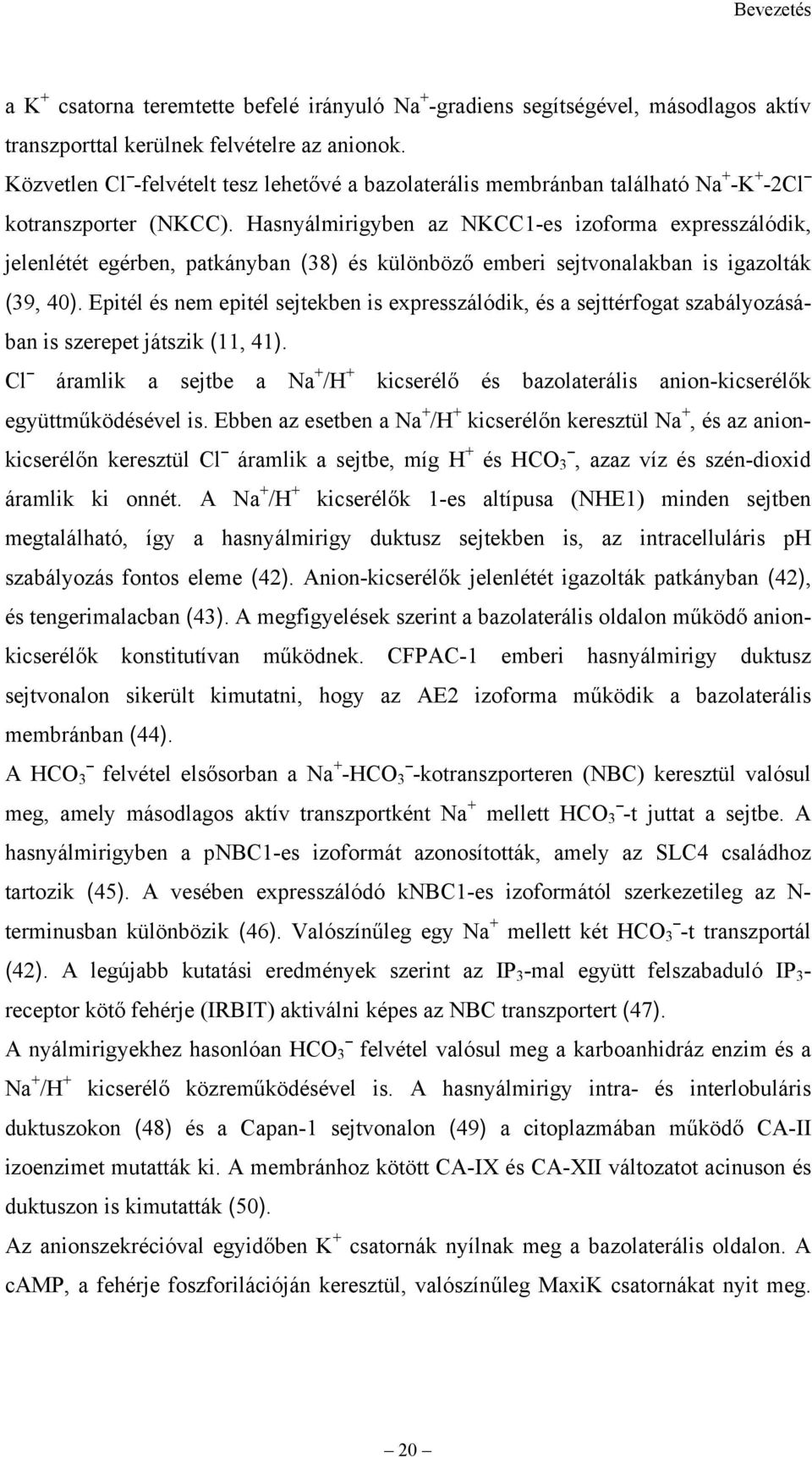 Hasnyálmirigyben az NKCC1-es izoforma expresszálódik, jelenlétét egérben, patkányban (38) és különböző emberi sejtvonalakban is igazolták (39, 40).