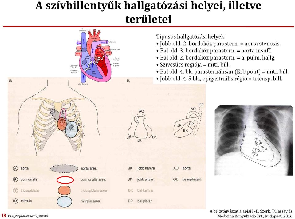 Szívcsúcs regiója = mitr. bill. Bal old. 4. bk. parasternálisan(erb pont) = mitr. bill. Jobb old. 4-5 bk.