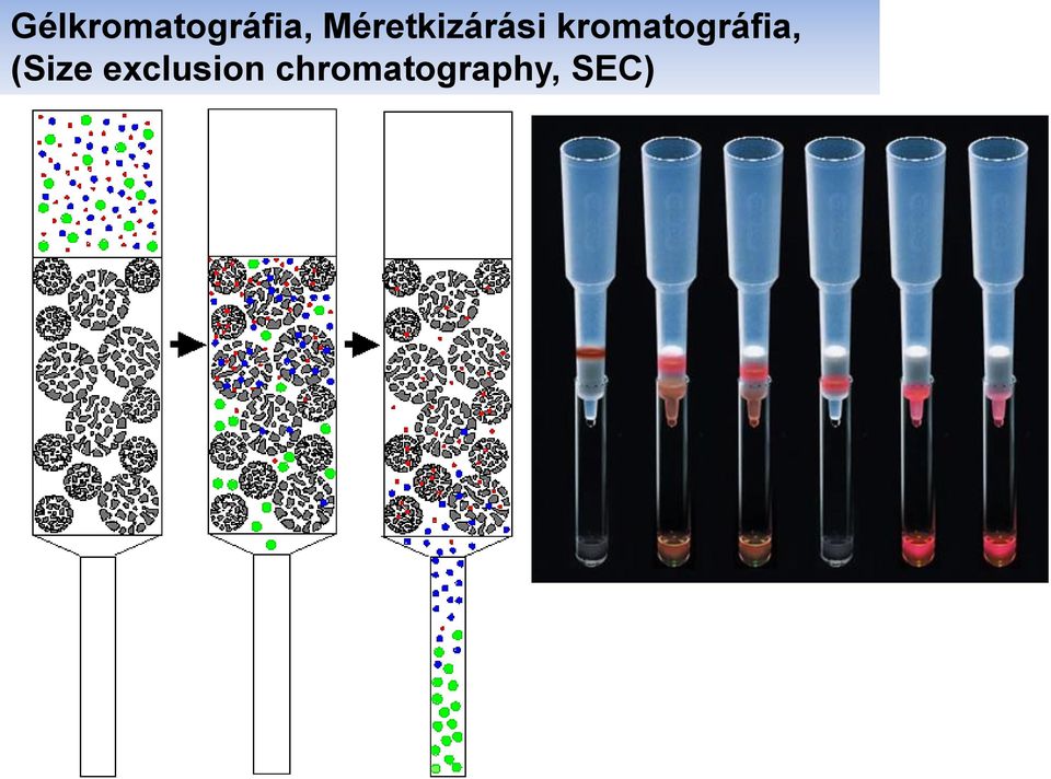 kromatográfia, (Size