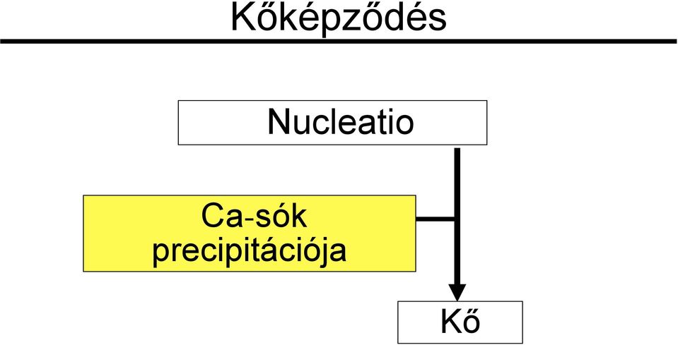 Ca-sók