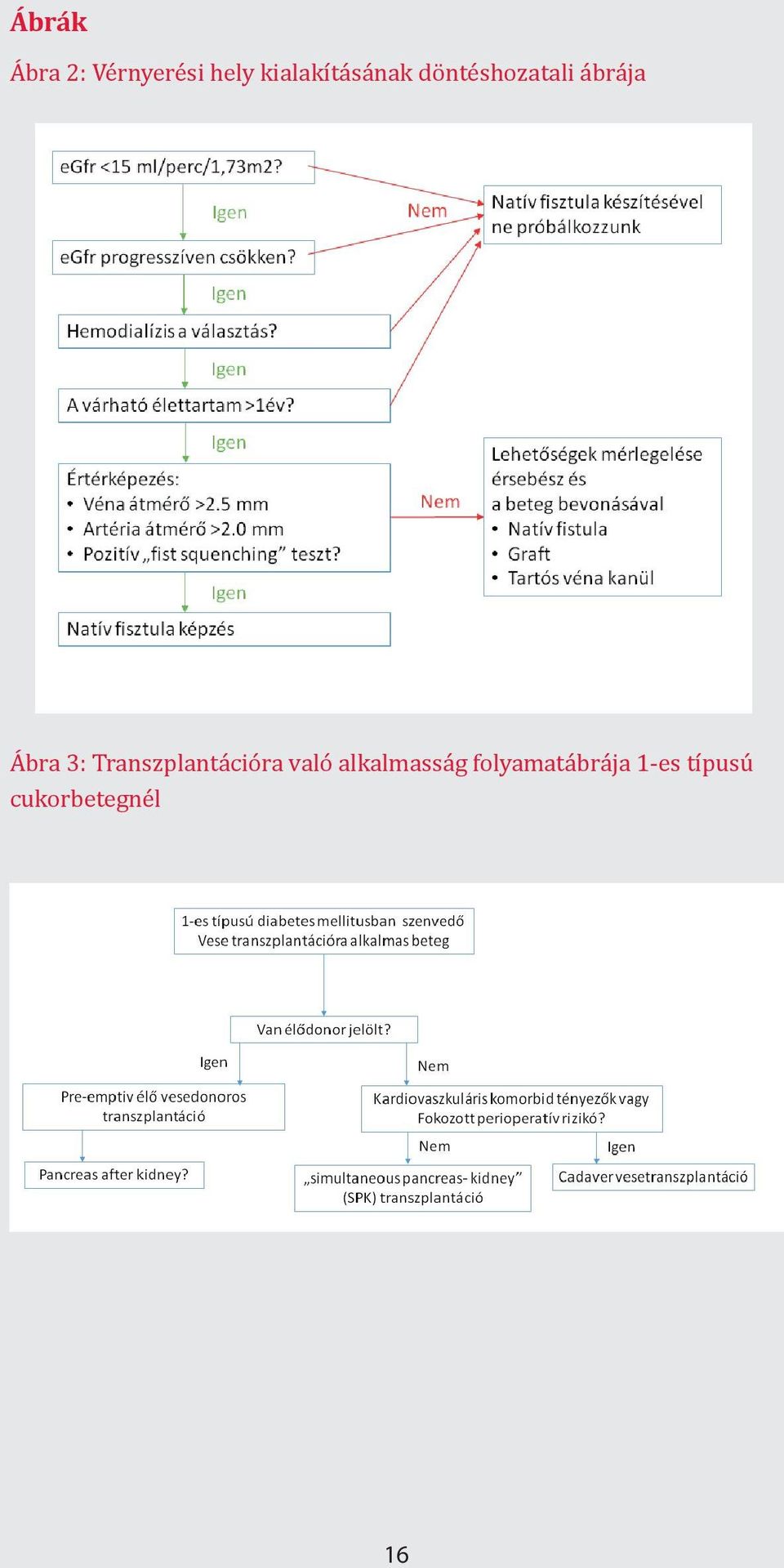 Ábra 3: Transzplantációra való