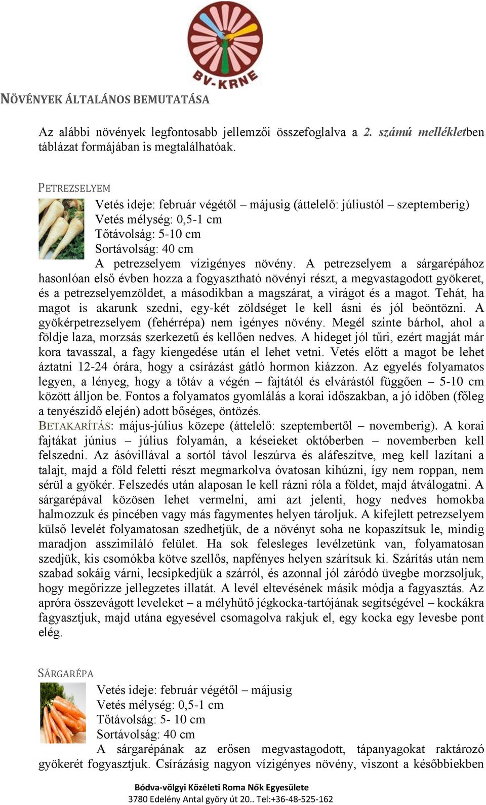 A petrezselyem a sárgarépához hasonlóan első évben hozza a fogyasztható növényi részt, a megvastagodott gyökeret, és a petrezselyemzöldet, a másodikban a magszárat, a virágot és a magot.