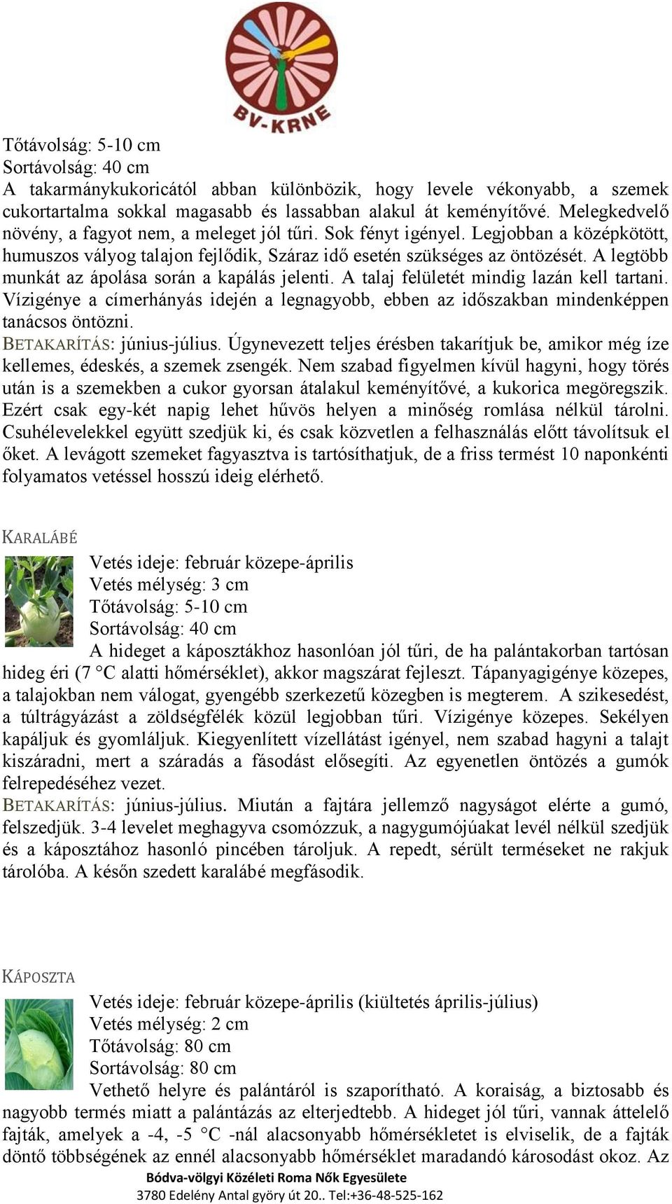 A legtöbb munkát az ápolása során a kapálás jelenti. A talaj felületét mindig lazán kell tartani. Vízigénye a címerhányás idején a legnagyobb, ebben az időszakban mindenképpen tanácsos öntözni.