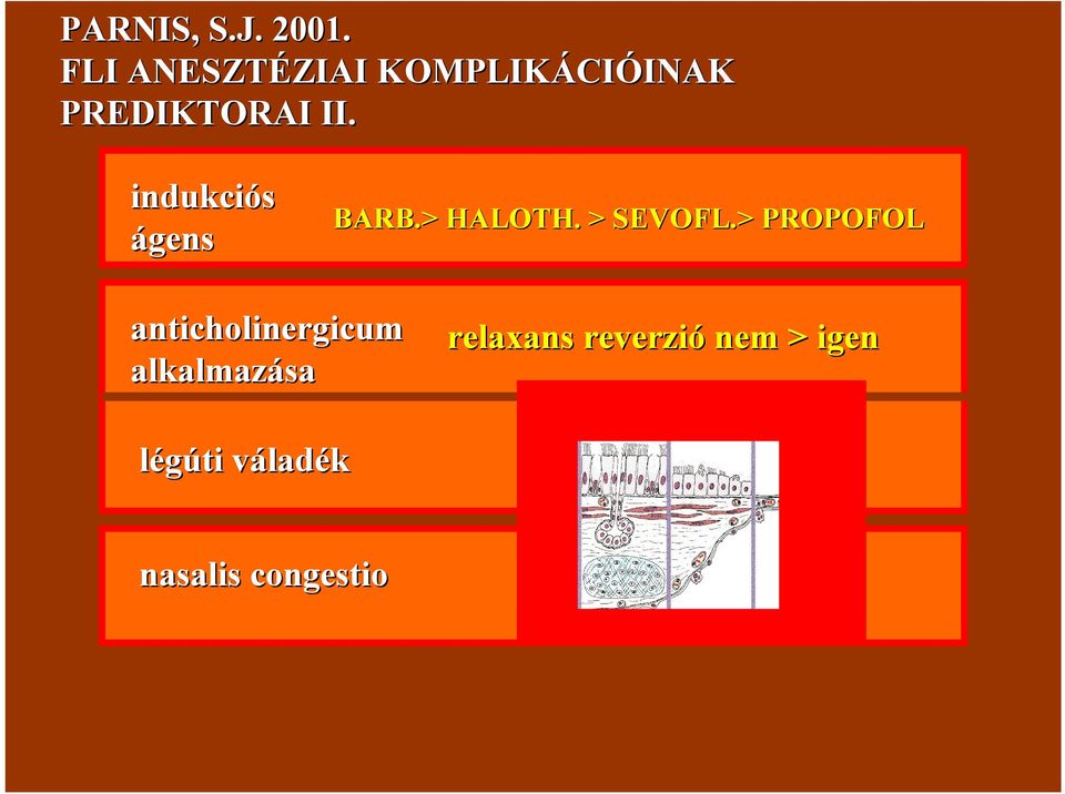 induks ágens BARB.> HALOTH. > SEVOFL.