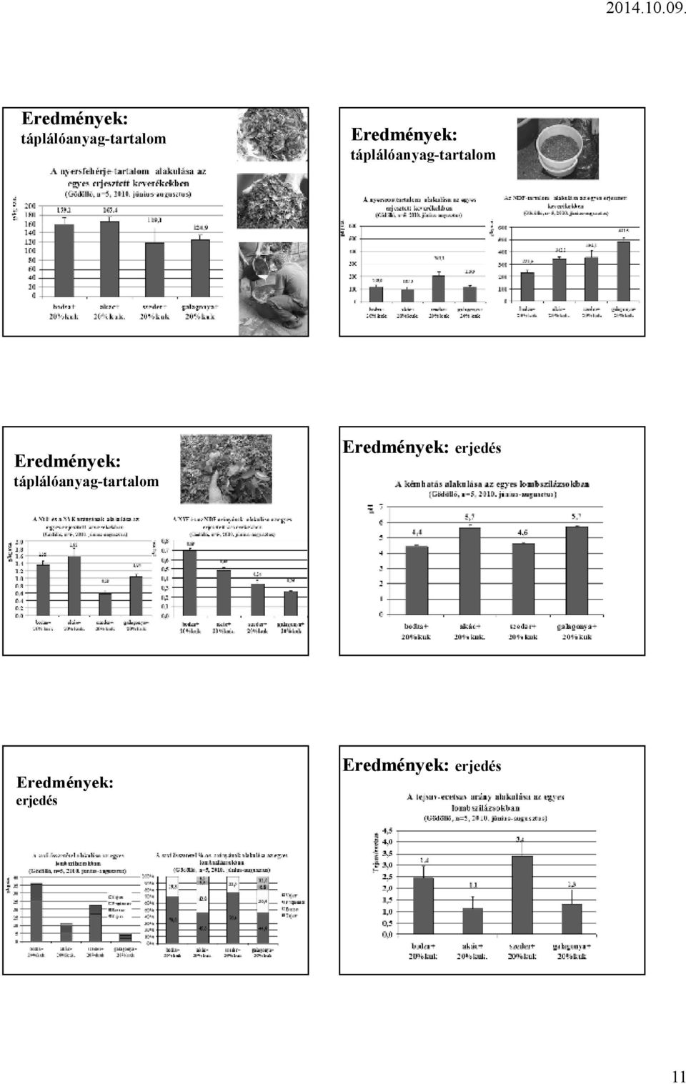 Eredmények: erjedés 11