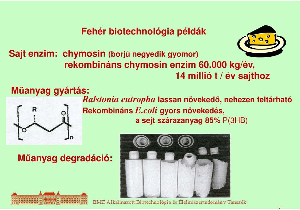 000 kg/év, 14 millió t / év sajthoz Műanyag gyártás: Ralstonia eutropha