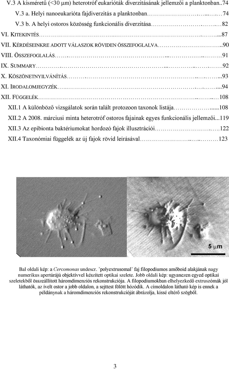 KÖSZÖNETNYILVÁNÍTÁS.......93 XI. IRODALOMJEGYZÉK........94 XII. FÜGGELÉK.... 108 XII.1 A különbözõ vizsgálatok során talált protozoon taxonok listája...108 XII.2 A 2008.