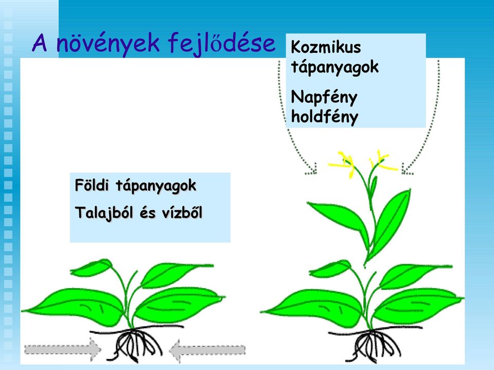 Napfény holdfény Földi