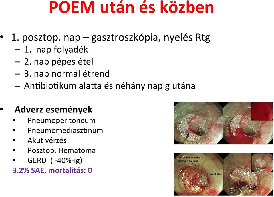 nap normál étrend An8bio8kum alafa és néhány napig utána Adverz