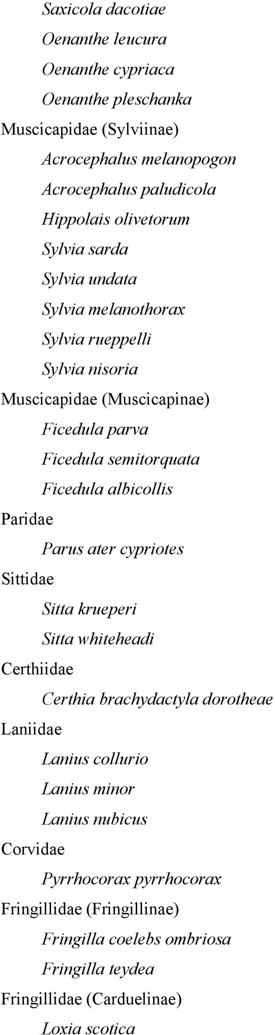 Ficedula albicollis Paridae Parus ater cypriotes Sittidae Sitta krueperi Sitta whiteheadi Certhiidae Certhia brachydactyla dorotheae Laniidae Lanius collurio