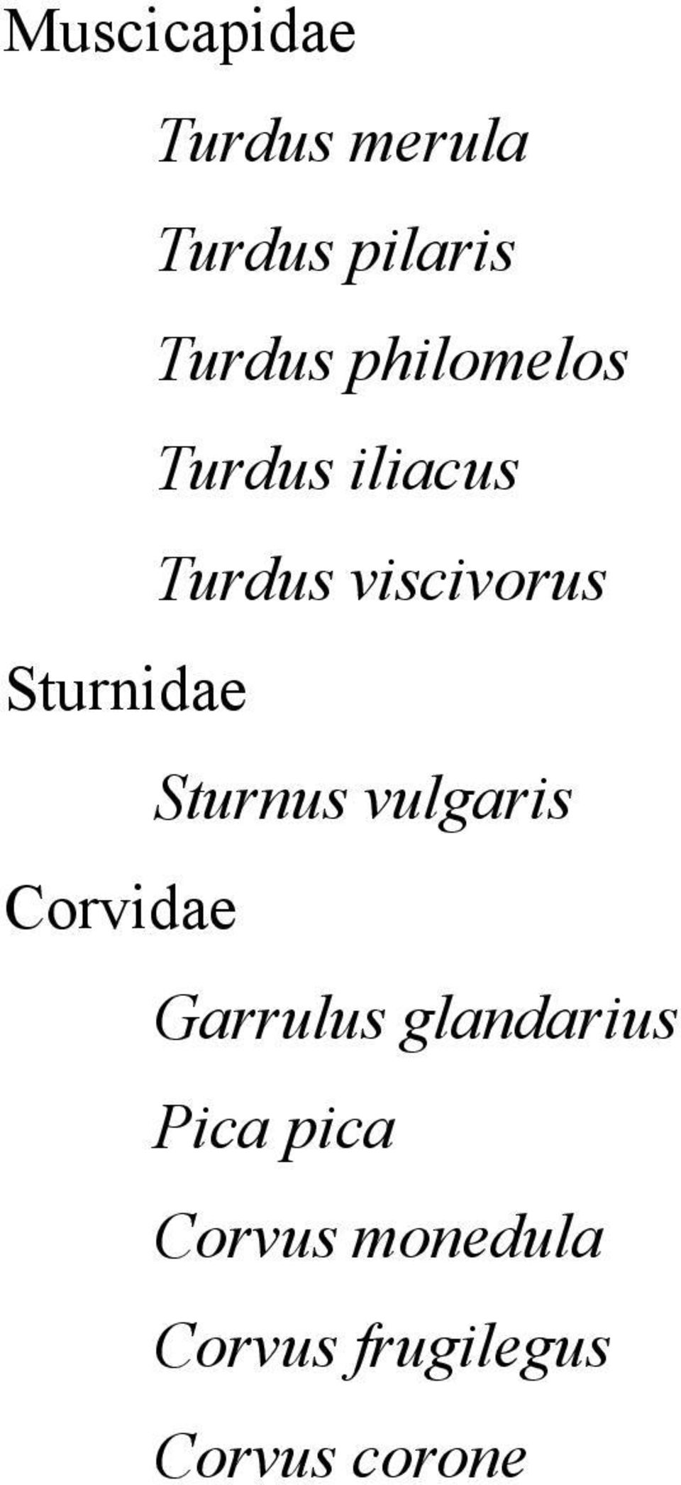 Sturnidae Sturnus vulgaris Corvidae Garrulus