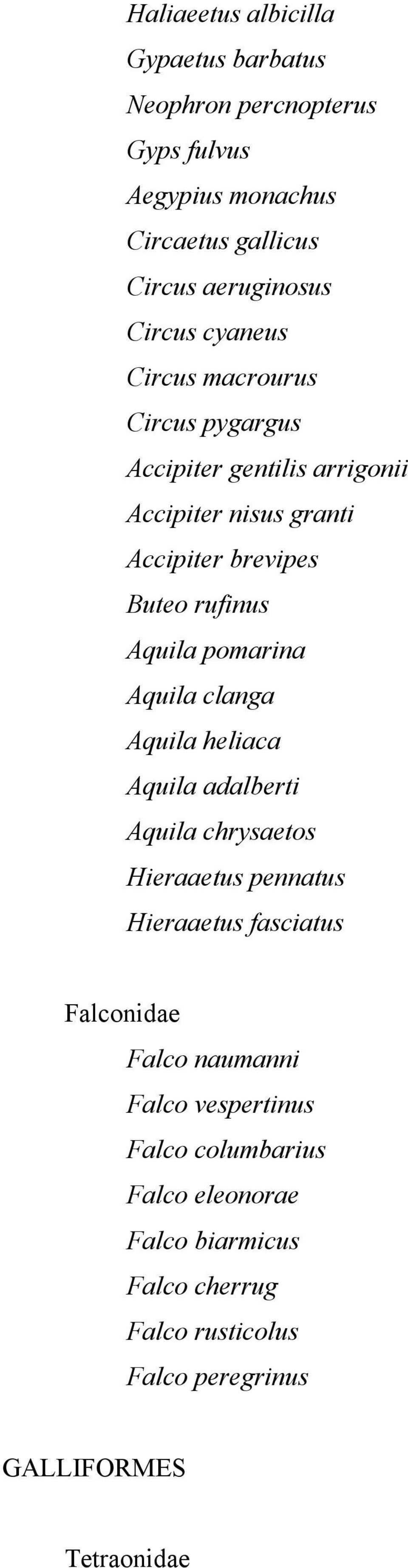 pomarina Aquila clanga Aquila heliaca Aquila adalberti Aquila chrysaetos Hieraaetus pennatus Hieraaetus fasciatus Falconidae Falco