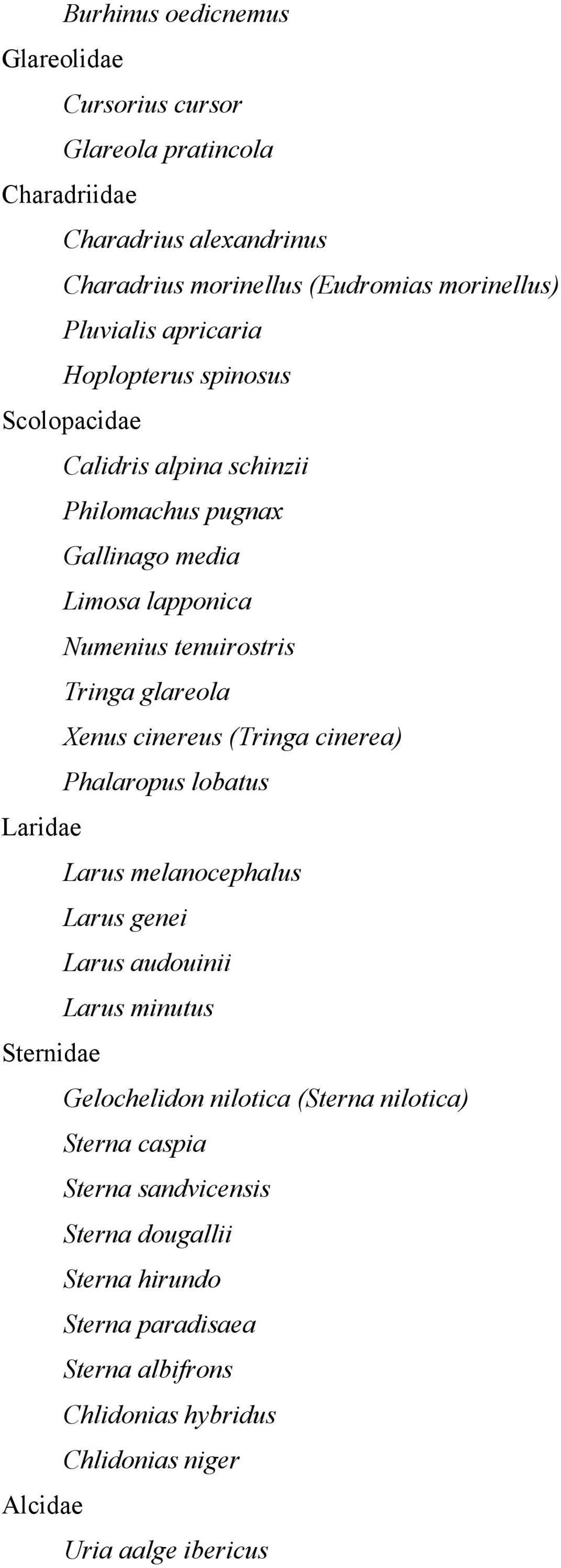 cinereus (Tringa cinerea) Phalaropus lobatus Laridae Larus melanocephalus Larus genei Larus audouinii Larus minutus Sternidae Gelochelidon nilotica (Sterna