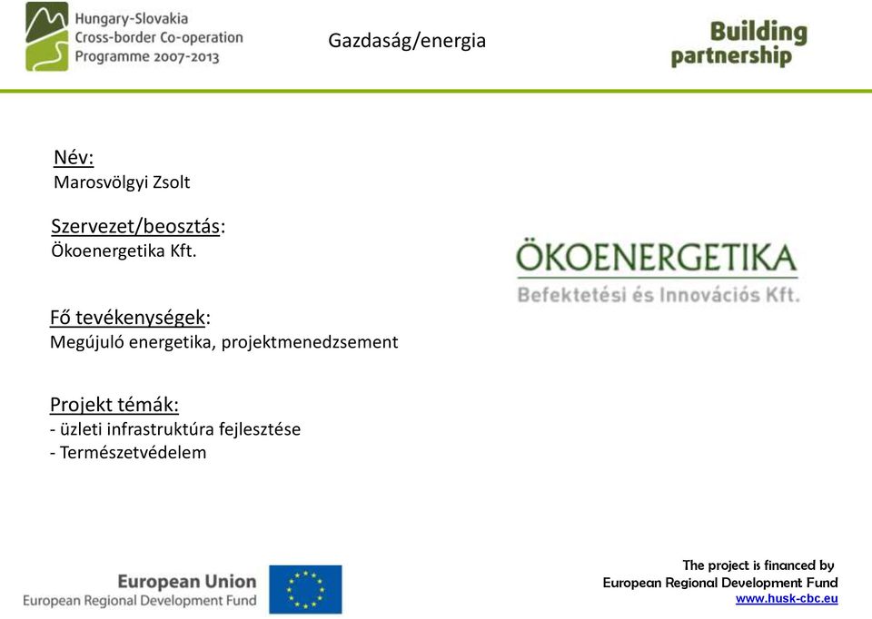 projektmenedzsement - üzleti