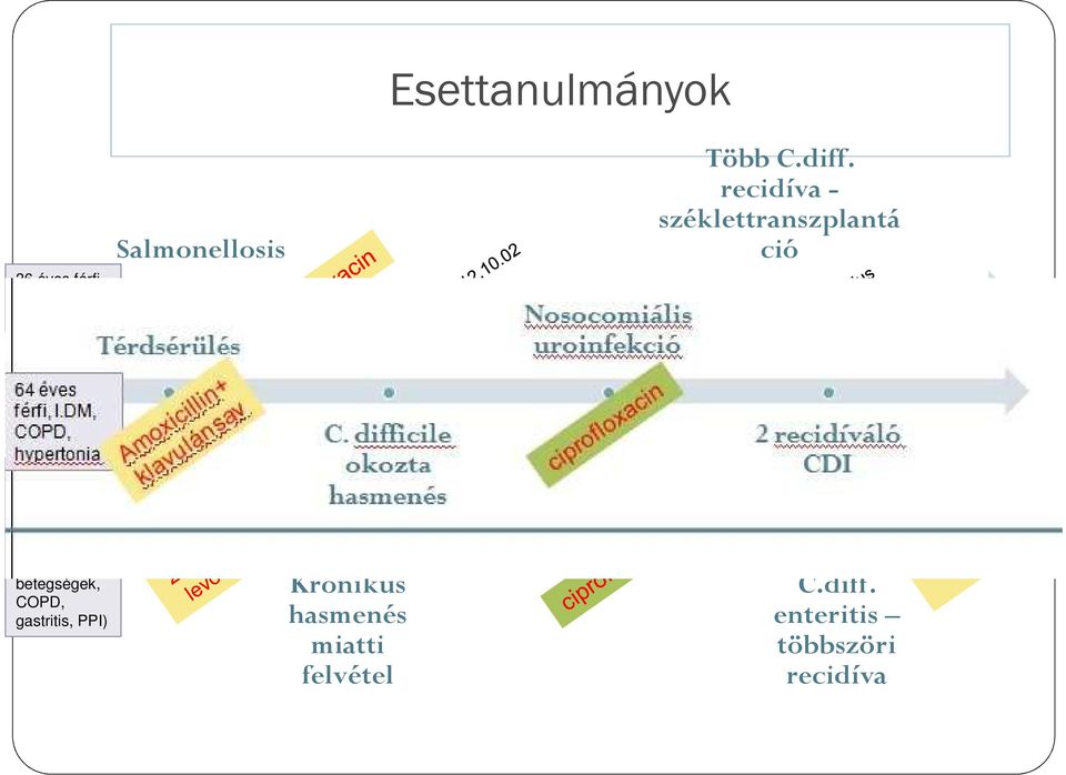 ápolt, immobil asszony (Kardiovaszk uláris betegségek, COPD, gastritis, PPI) Krónikus