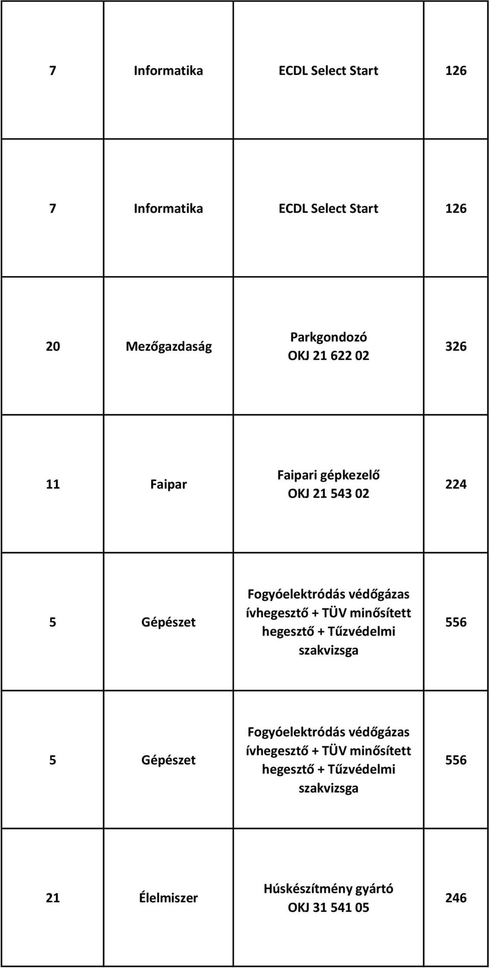 ívhegesztő + TÜV minősített hegesztő + Tűzvédelmi szakvizsga 556 5 Gépészet Fogyóelektródás védőgázas