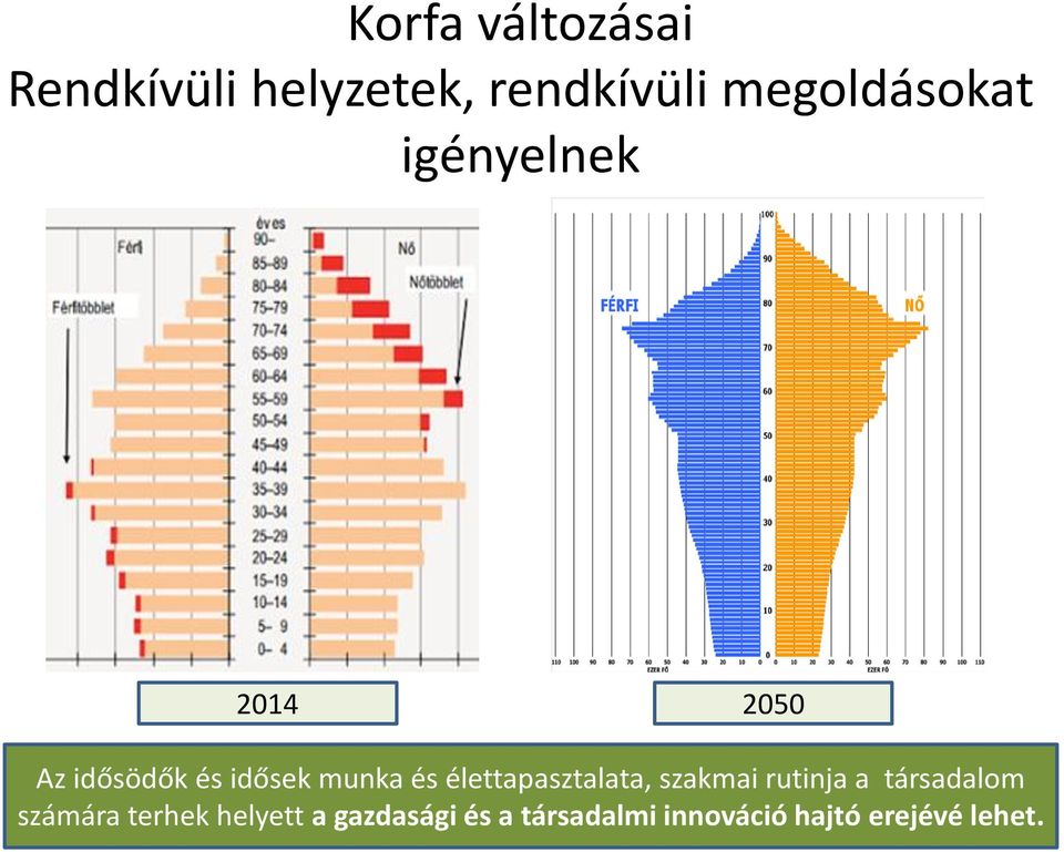 munka és élettapasztalata, szakmai rutinja a társadalom