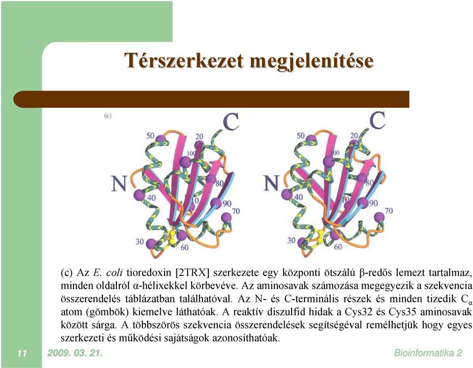 Az aminosavak számozása megegyezik a szekvencia összerendelés táblázatban találhatóval.