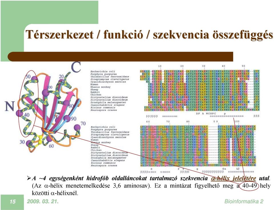 jelelétére utal. (Az α-hélix menetemelkedése 3,6 aminosav).
