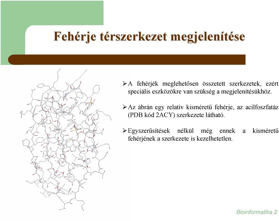 Az ábrán egy relativ kisméretű fehérje, az acilfoszfatáz (PDB kód 2ACY) szerkezete