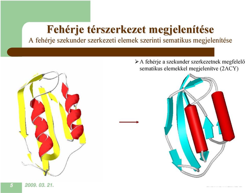 megjelenítése A fehérje a szekunder szerkezetnek