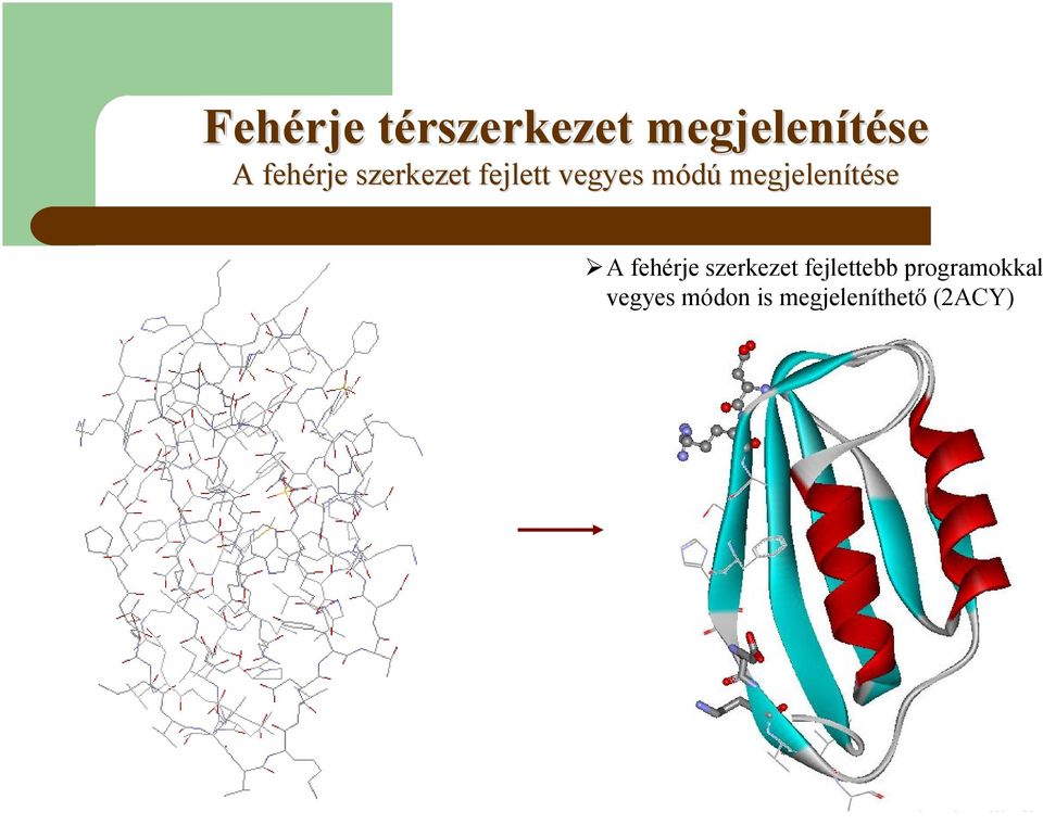 fehérje szerkezet fejlettebb programokkal