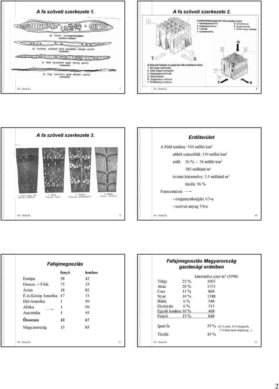 oxigénszükséglet 1/3-a - szerves anyag 3/4-e Fa - Józsa Zs. 9 Fa - Józsa Zs. 10 Fafajmegoszlás fenyő lombos Európa 58 42 Oroszo.