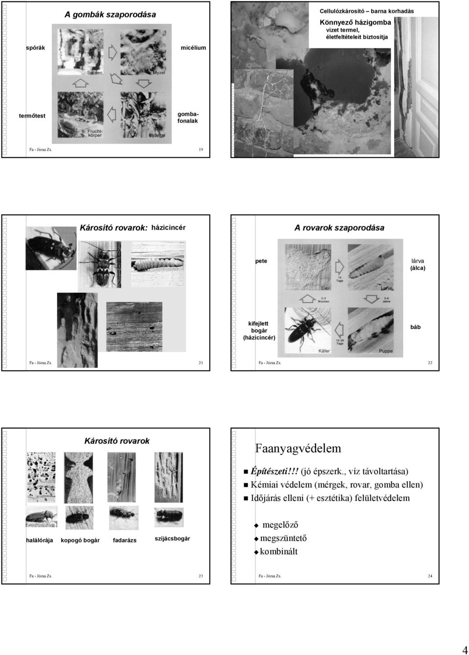 21 Fa - Józsa Zs. 22 Károsító rovarok Faanyagvédelem Építészeti!!! (jó épszerk.