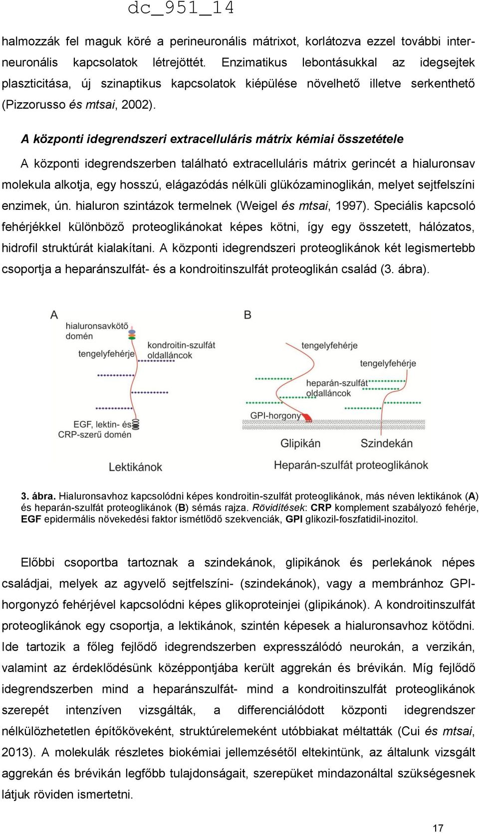 A központi idegrendszeri extracelluláris mátrix kémiai összetétele A központi idegrendszerben található extracelluláris mátrix gerincét a hialuronsav molekula alkotja, egy hosszú, elágazódás nélküli