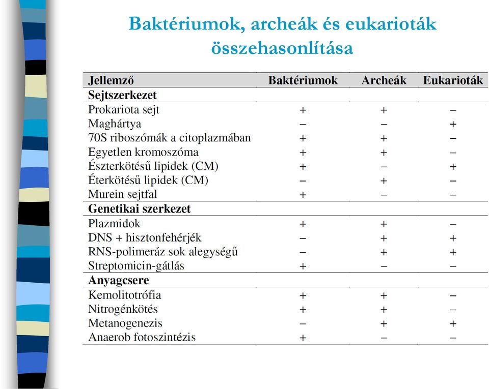 eukarioták