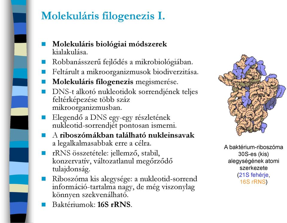 Elegendő a DNS egy-egy részletének nukleotid-sorrendjét pontosan ismerni. A riboszómákban található nukleinsavak a legalkalmasabbak erre a célra.